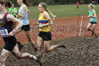 Senior womens 2018 British Inter Counties Cross Country Champs., Prestwold Hall, Loughborough. Photo: David T. Hewitson/Sports for All Pics